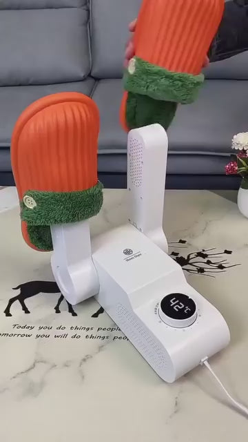 Compact Shoe Dryer
